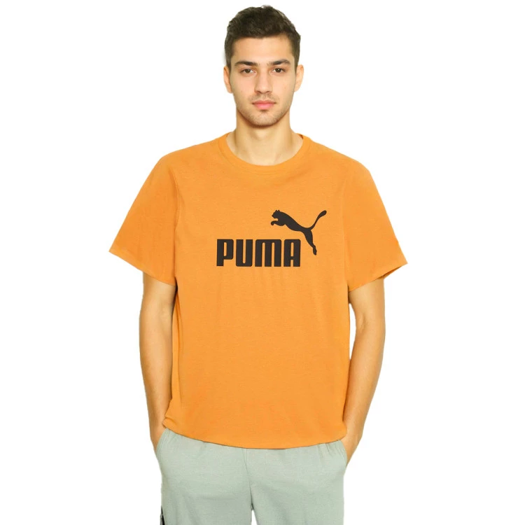 camiseta-puma-essentials-logo-orewood-brn-black-0