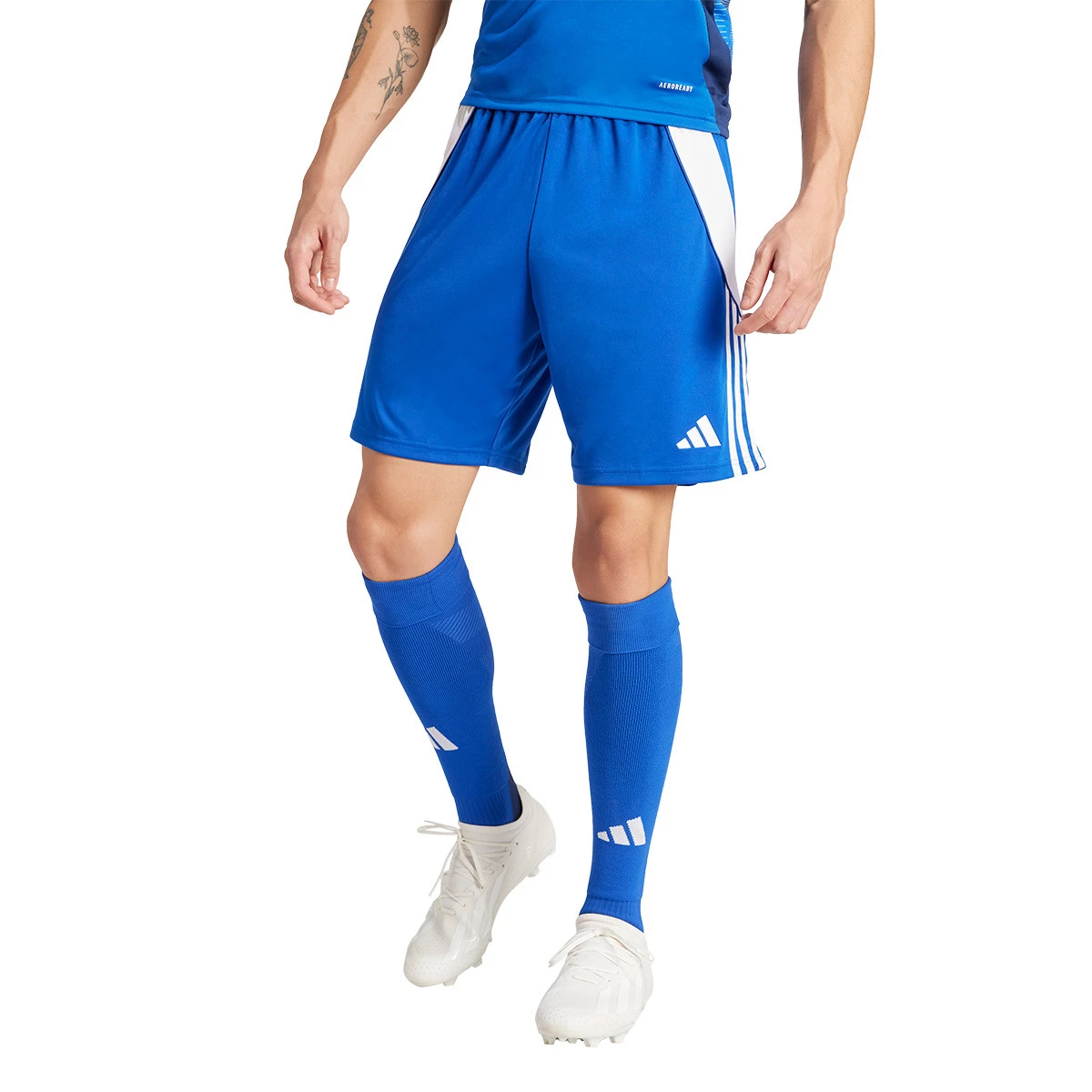 Shorts adidas Tiro 24 Team Royal Blue White Futbol Emotion