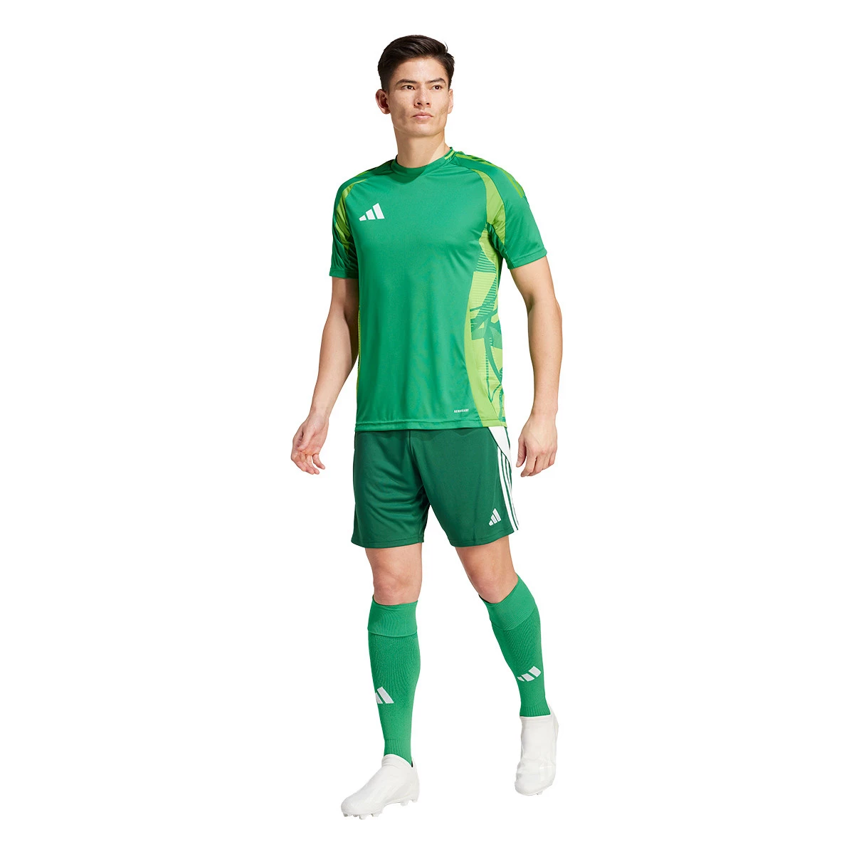 Shorts adidas Tiro 24 Team Dark Green-White - Fútbol Emotion