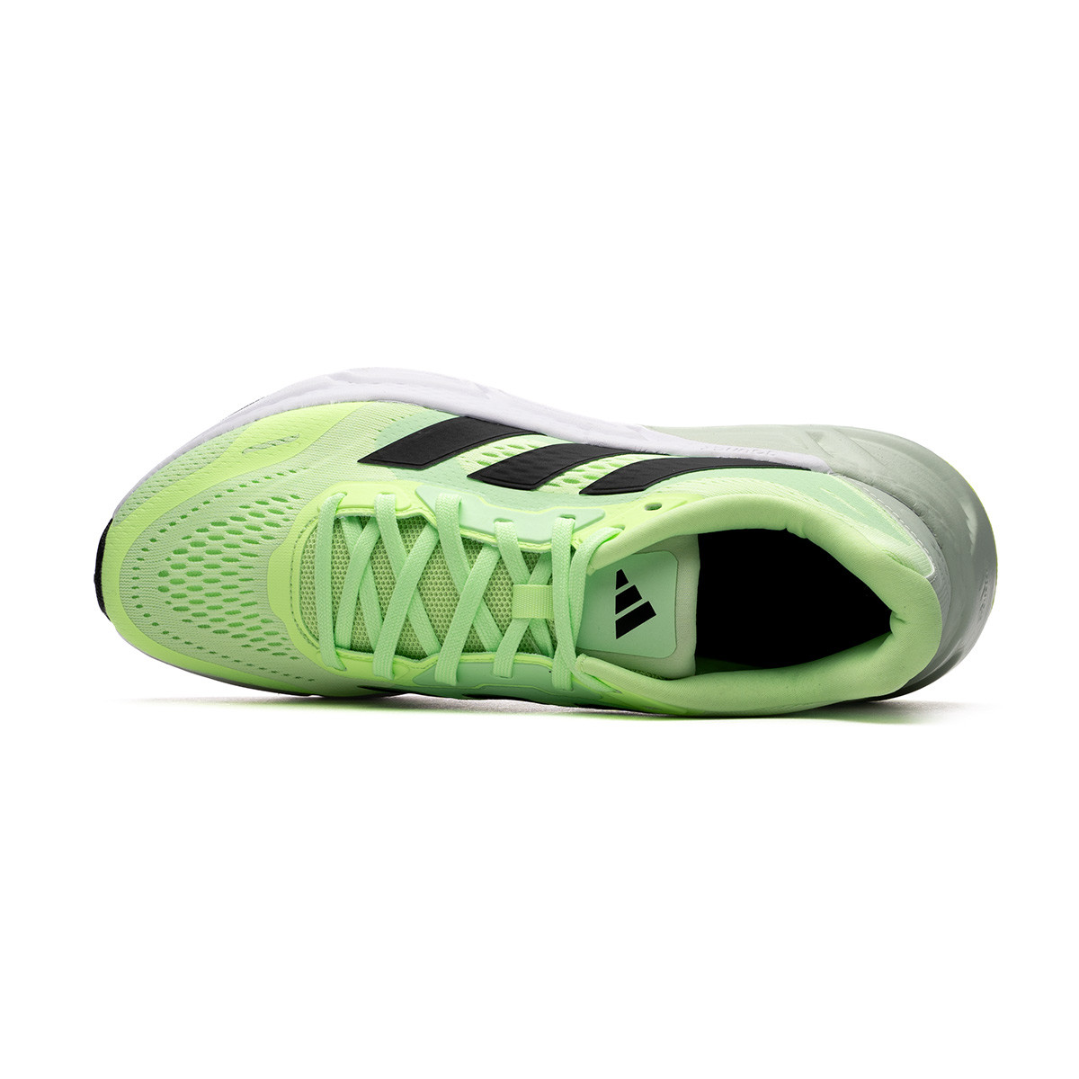 Adidas questar neon sale