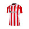 Castore AC Bilbao Authentiek 2024-2025 Home Shirt