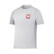 Camiseta Nike Polonia Training Eurocopa 2024