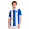 Nike Hertha Berlijn 2024-2025 Home Jersey