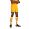 New Balance FC Porto 2024-2025 Away Kit Shorts