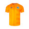 Camiseta New Balance FC Porto Pre-Match 2024-2025