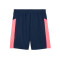 Calções Puma Individualfinal Shorts