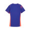 Puma Individuele Blaze Jersey Shirt