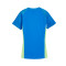 Puma Individuele finale Jersey Shirt