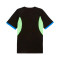 Camiseta Puma Individualliga Graphic Jersey