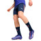 Puma IndividueleLiga Training Shorts