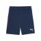 Puma IndividualLiga Training Shorts