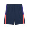 Short Puma IndividualLiga Training