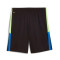 Pantaloncini Puma Individualliga Training Shorts 2 (Open Pockets)