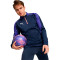 Camisola Puma Individualliga 1/4 Zip Top