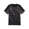 Camisola Puma Individualliga Graphic Jersey