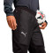 Puma Individualwinterized Trainingsshorts Lange Hosen