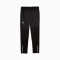 Pantaloni  Puma Individualwinterized Training Pant