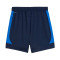 Puma Koning Pro Shorts