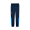 Puma King Pro Training Pants Long pants