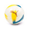 Puma Neymar Jr Graphic Ball Ball