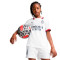 Maillot Puma Enfant AC Milan Maillot Extérieur 2024-2025 