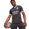 Puma AC Milaan 2024-2025 Derde Shirt