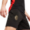 Puma AC Mailand Training 2024-2025 Shorts