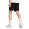 Puma AC Mailand Fanswear 2024-2025 Shorts