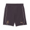 Puma AC Mailand Fanswear 2024-2025 Shorts