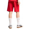 Puma AC Milan Fanswear 2024-2025 Shorts