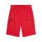 Puma AC Milan Fanswear 2024-2025 Shorts