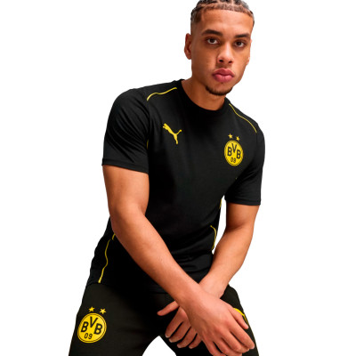Camiseta Borussia Dortmund  Fanswear 2024-2025