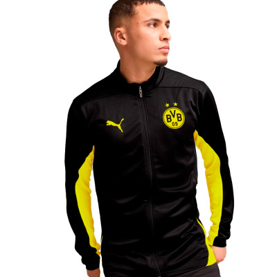 Borussia Dortmund  Training 2024-2025 Jacket