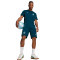 Puma Olympique Marseille Fanswear 2024-2025 Jersey