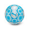 Ballon Puma Olympique de Marseille 2024-2025