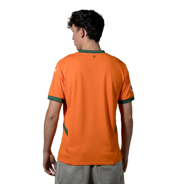 camiseta-puma-valencia-cf-2024-2025-dritter-multicolor-1