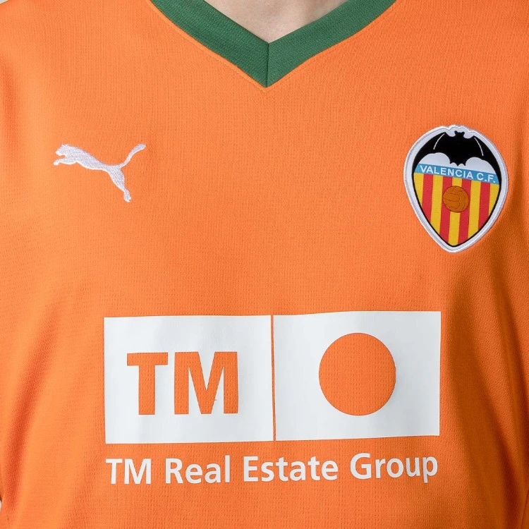 camiseta-puma-valencia-cf-2024-2025-dritter-multicolor-5