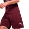 Puma Manchester Stadt Drittes Trikot 2024-2025 Shorts