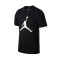 Jordan Jumpman Ss Crew Shirt