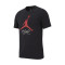 Camisola Jordan Jumpman Flight