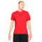 Jordan Jumpman Dri-Fit Crew Jersey