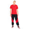 Maillot Jordan Jumpman Dri-Fit Crew