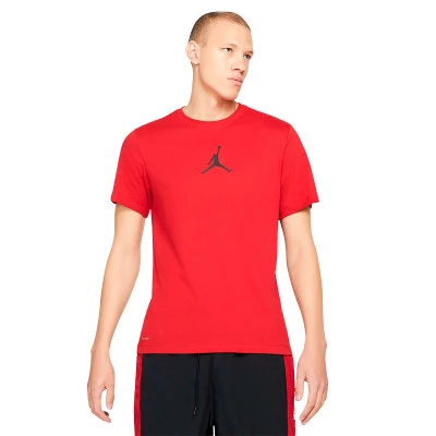 Koszulka Jumpman Dri-Fit Crew