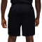 Spodenki Jordan Dri-Fit Sport Mesh