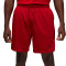 Jordan Dri-Fit Sport Mesh Shorts