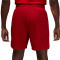 Short Jordan Dri-Fit Sport Mesh