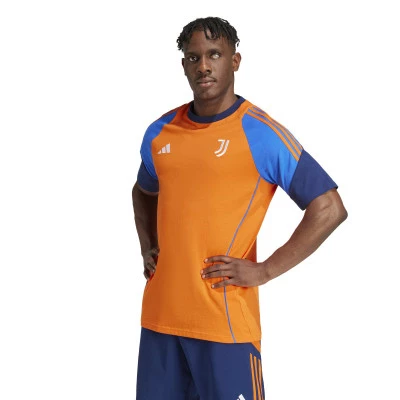 Juventus Training 2024-2025 Trikot