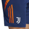 adidas Juventus Training 2024-2025 Shorts