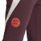 adidas FC Bayern Training 2024-2025 Trousers