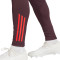 Pantaloni  adidas FC Bayern Training 2024-2025